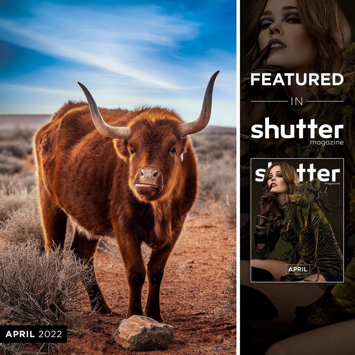 Shutter Magazine April 2022