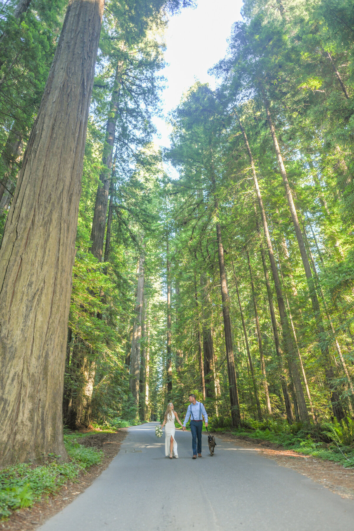 Humboldt-County-Elopement-Photographer-Redwoods-Avenue-of-the-Giants-Humboldt-Redwoods-Redwood-National-Park-Parky's-Pics-Coastal-Redwoods-Elopements-51