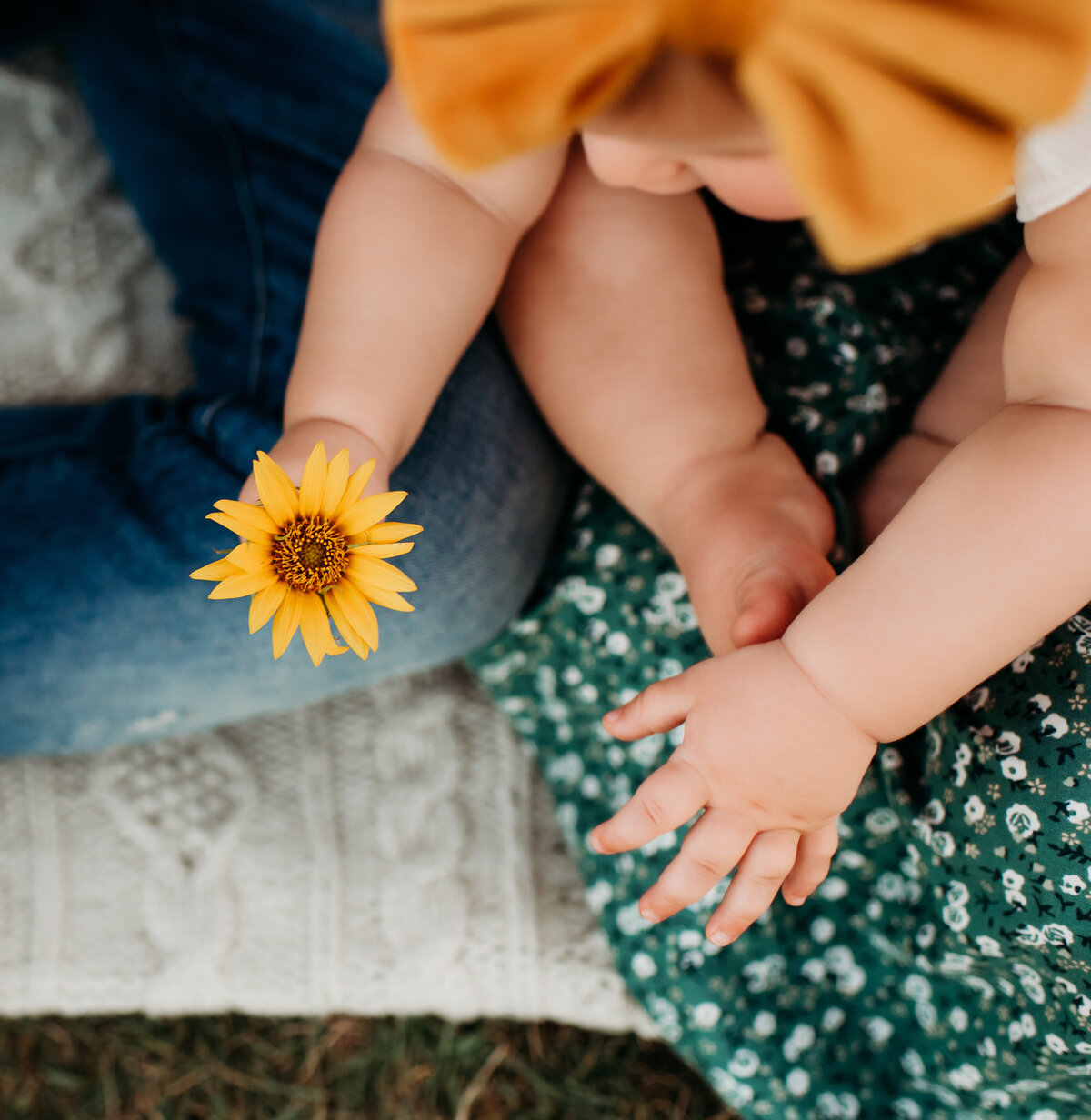 Baby girl holding a sunflower.