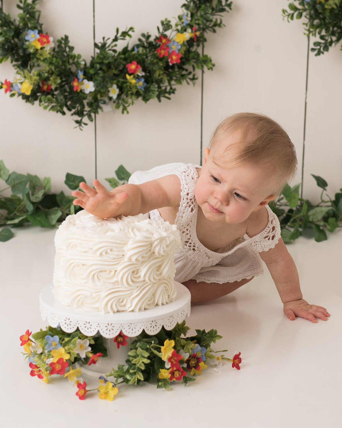 Newborn cake smash portrait in white background with green leaves