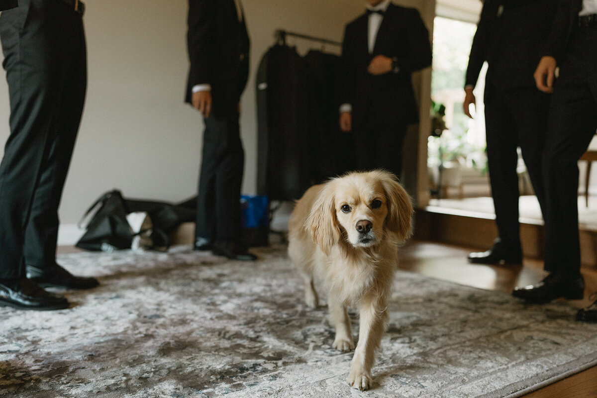 Esquimalt-Gorge-Pavilion-Wedding- 1