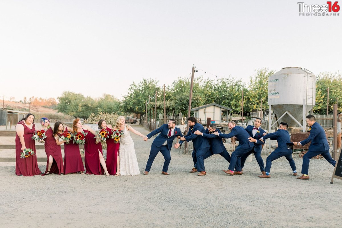 Bridal party tries to pull the Bride and Groom apart from each other in a fun gesture