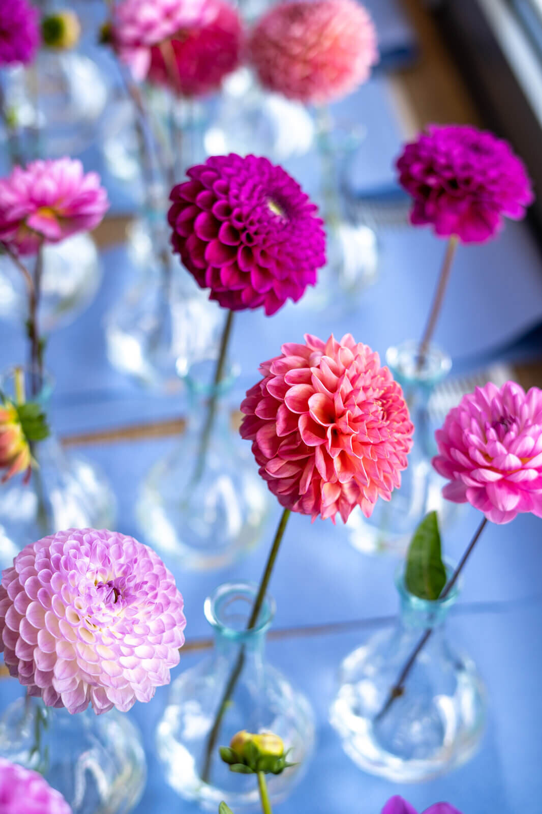 Pink Dahlias on wedding table at Thames Rowing Club
