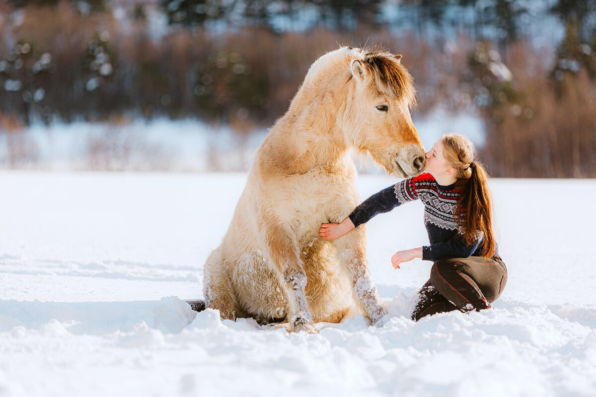 Paarden en honden fotografie Meppel-21