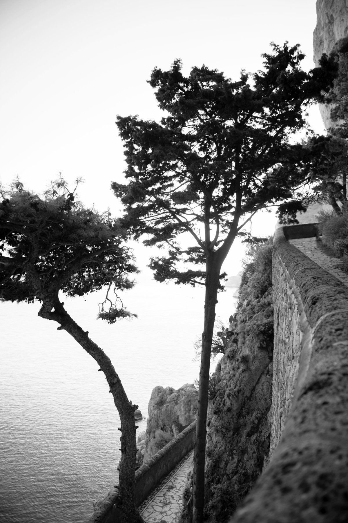 Capri Journey No11