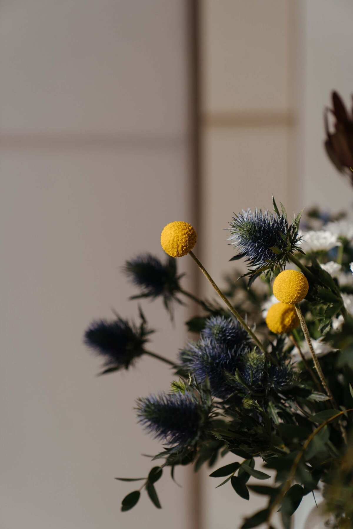 pexels-cottonbro-4270241