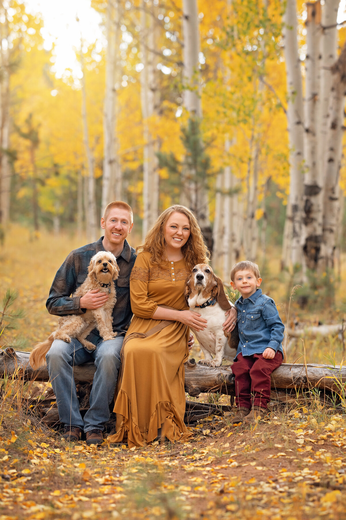 High-End Family Portraits Colorado