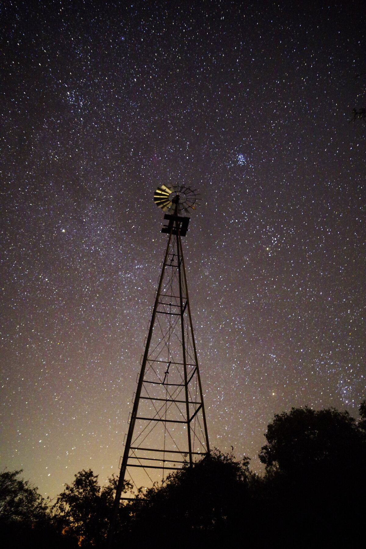 _IMG6223b