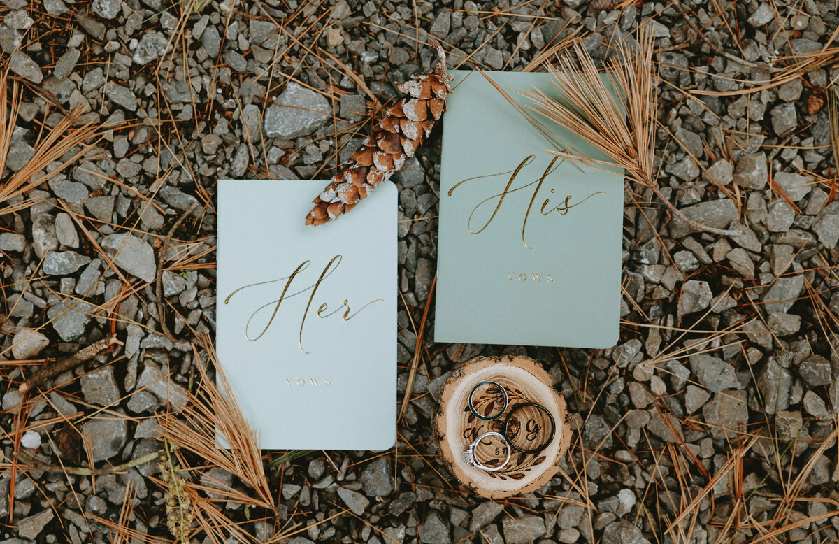 cook-forest-state-park-elopement (33)