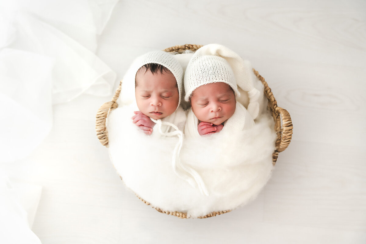 Twin newborns swaddled and posed in the studio, taken by Fig and Olive Photography a Twin Cities Newborn Photographer