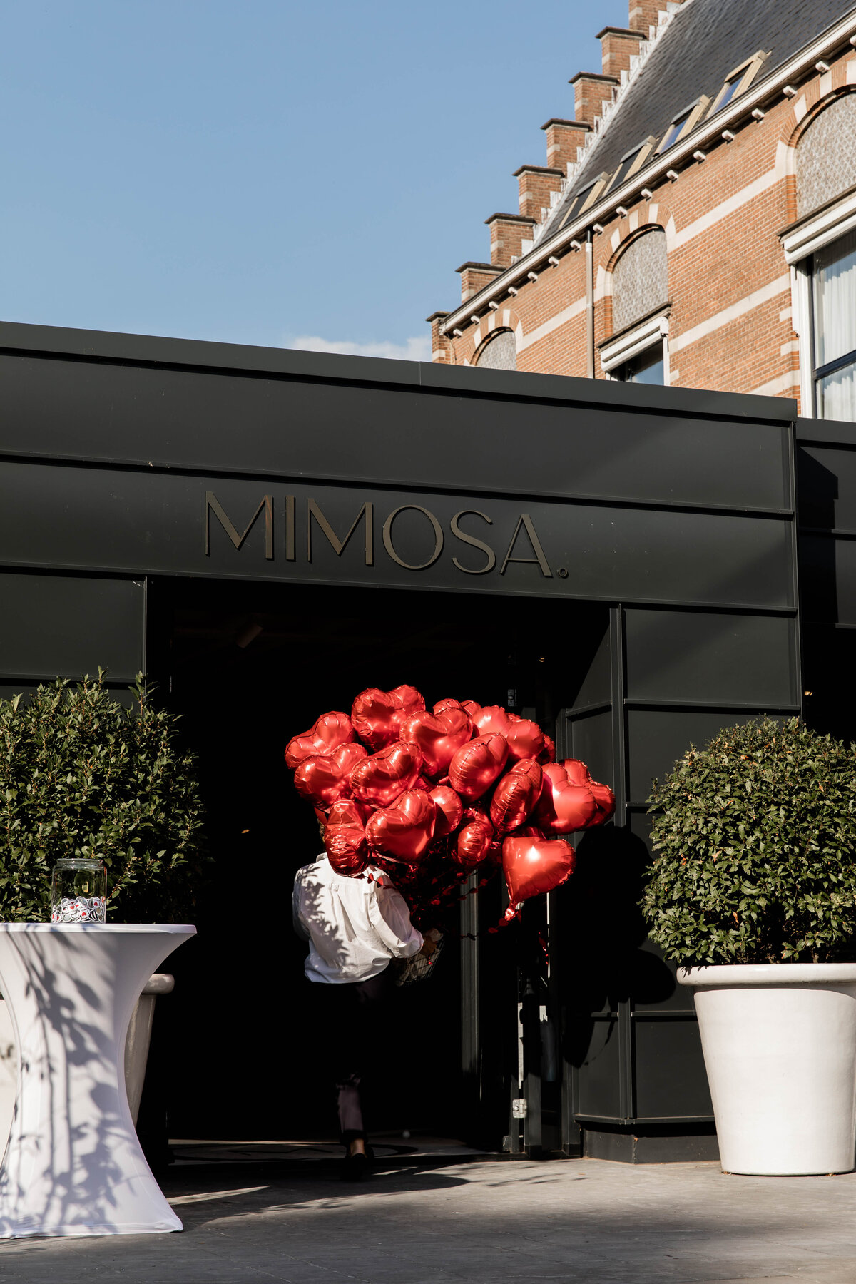 Falling in love with Mimosa - web formaat - by Laura Emma-31