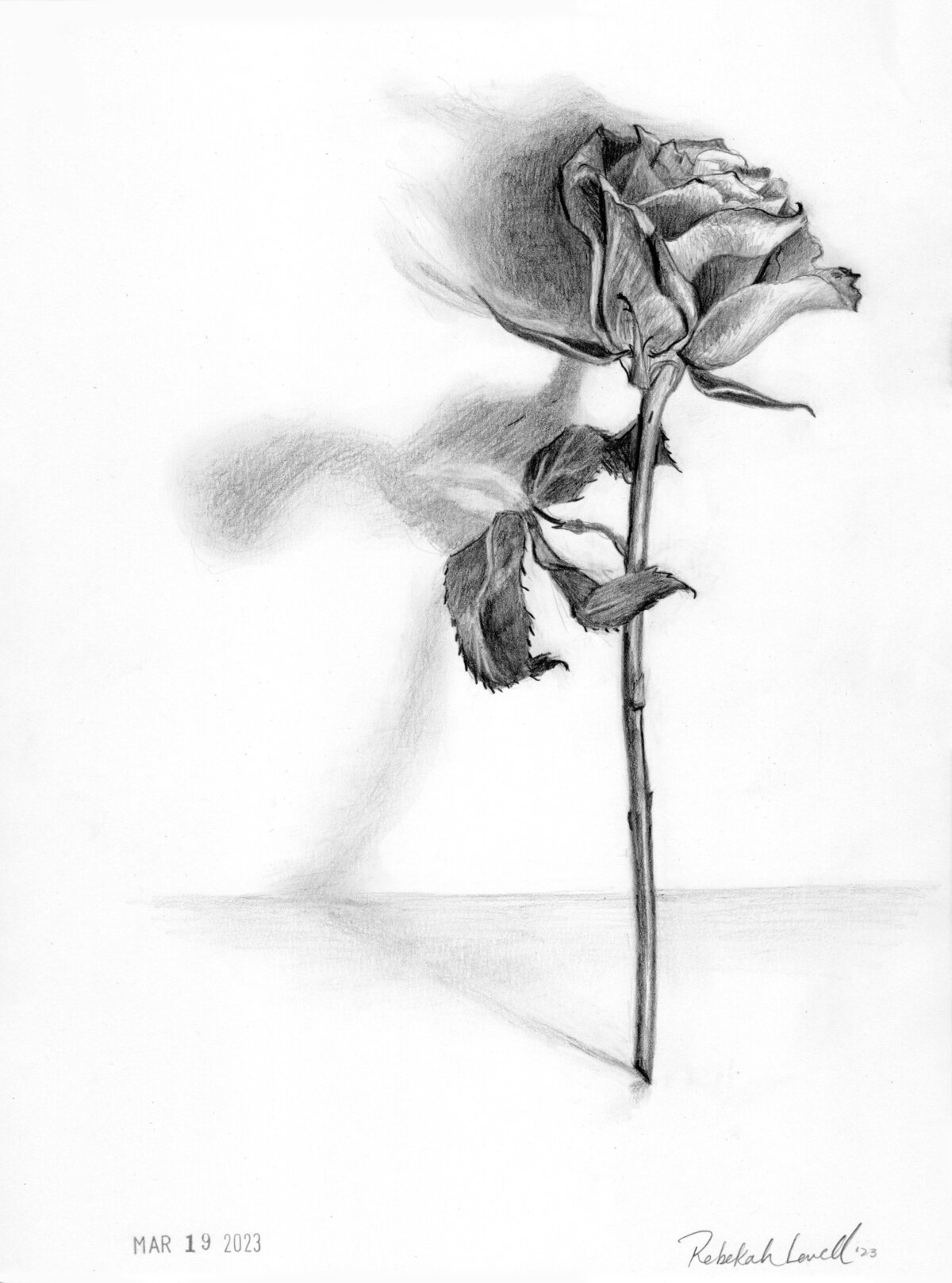 RLowell_revised rose