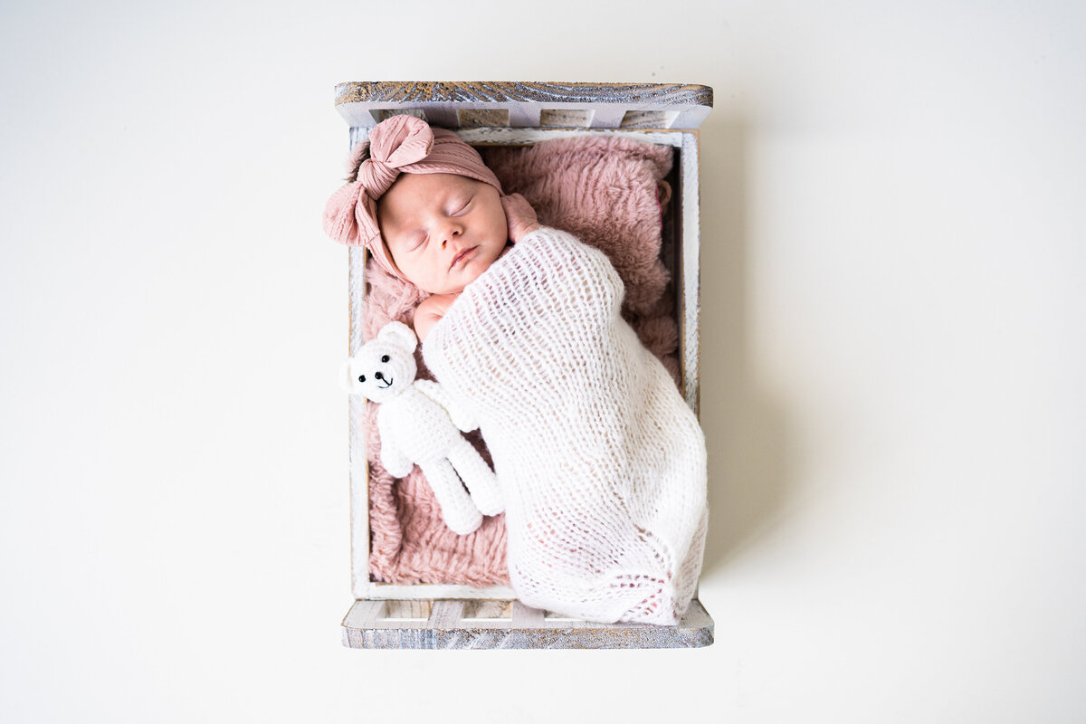 Pittsburhgh Newborn Photographer--Newborn Website Update-9