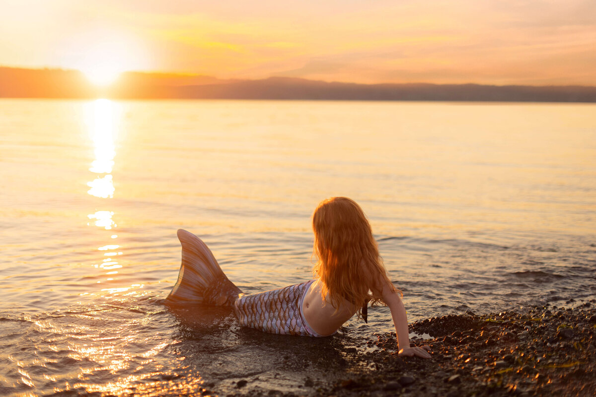 Gorgeous Seattle sunset with mermaid