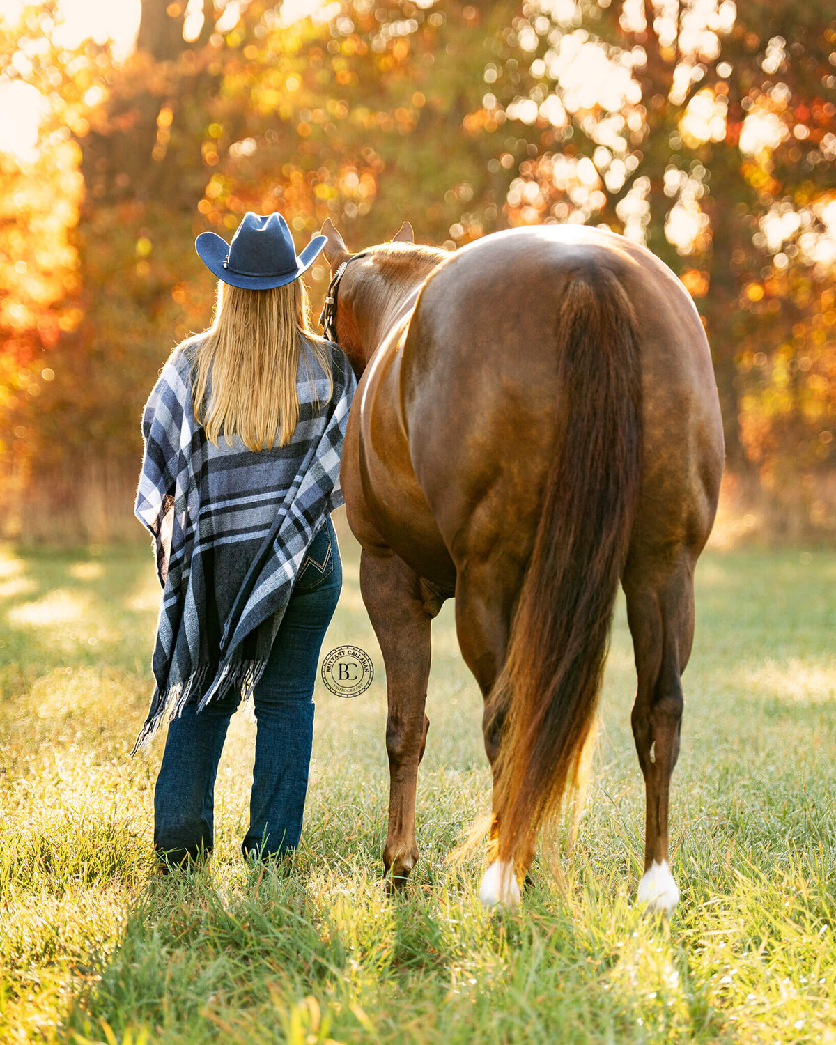 Southern-illinois-horse-photographer-#33