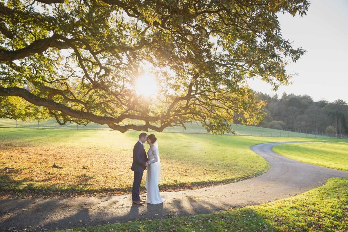 Evening sunshine wedding photo and St Audries Park