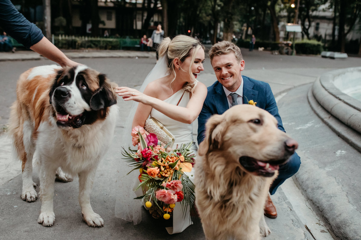 bride and groom petting dogs