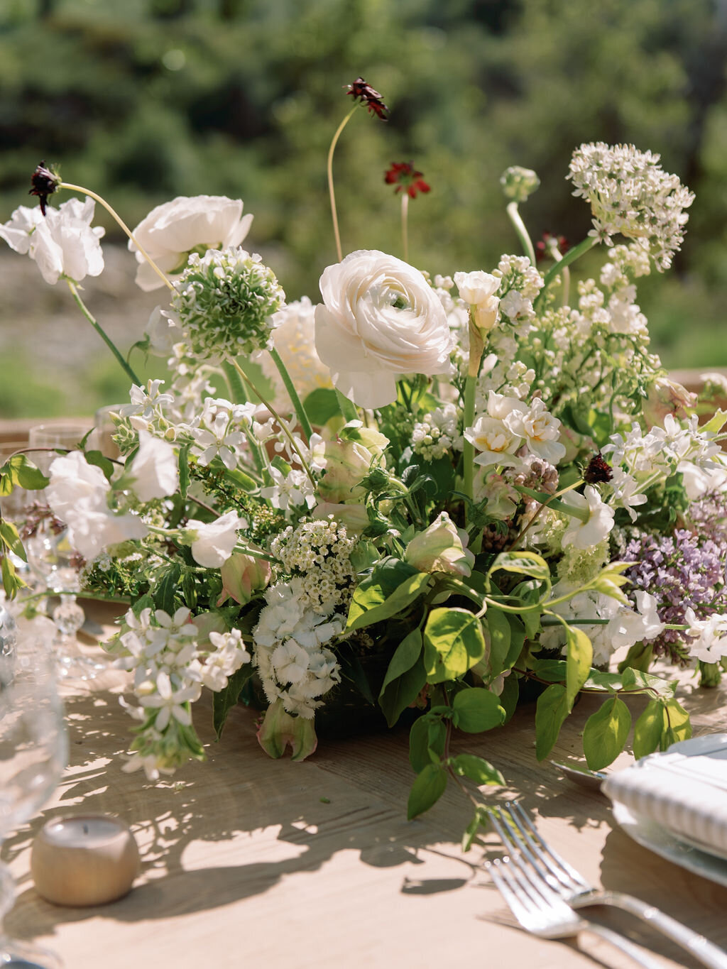 Ojai_EmbarkEvents_TroyMeiklePhoto_54