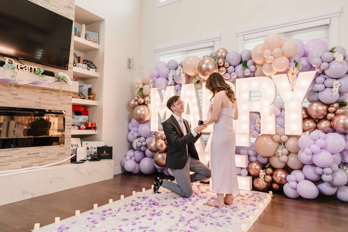 edmonton couples photographer engagement proposal (5)