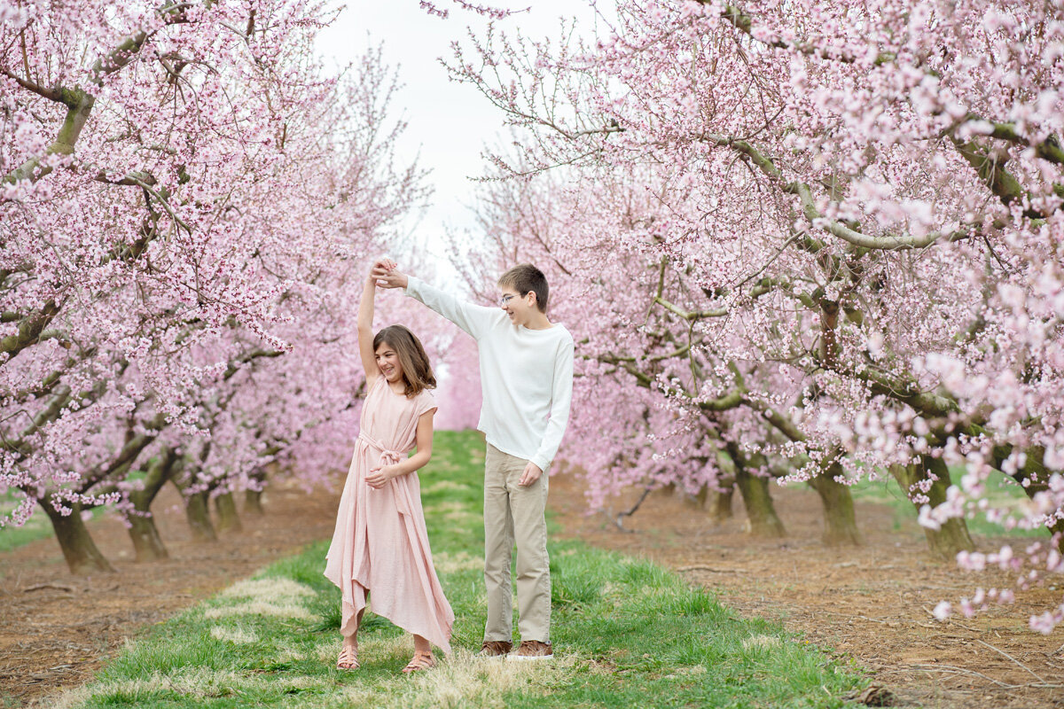 Family session located at the cherry blossom field