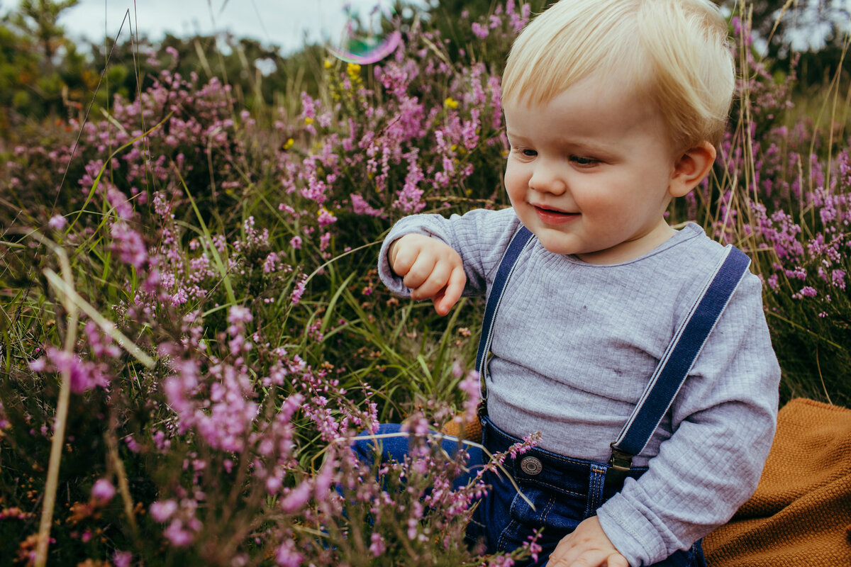 Chobham common is one of the best locations for family mini shoots, the colours of the wild plants are amazing