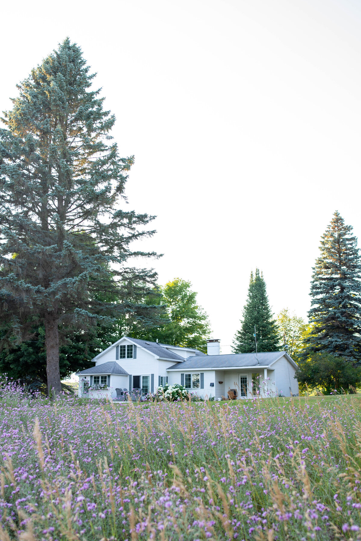 Harbor Springs Cottage-81