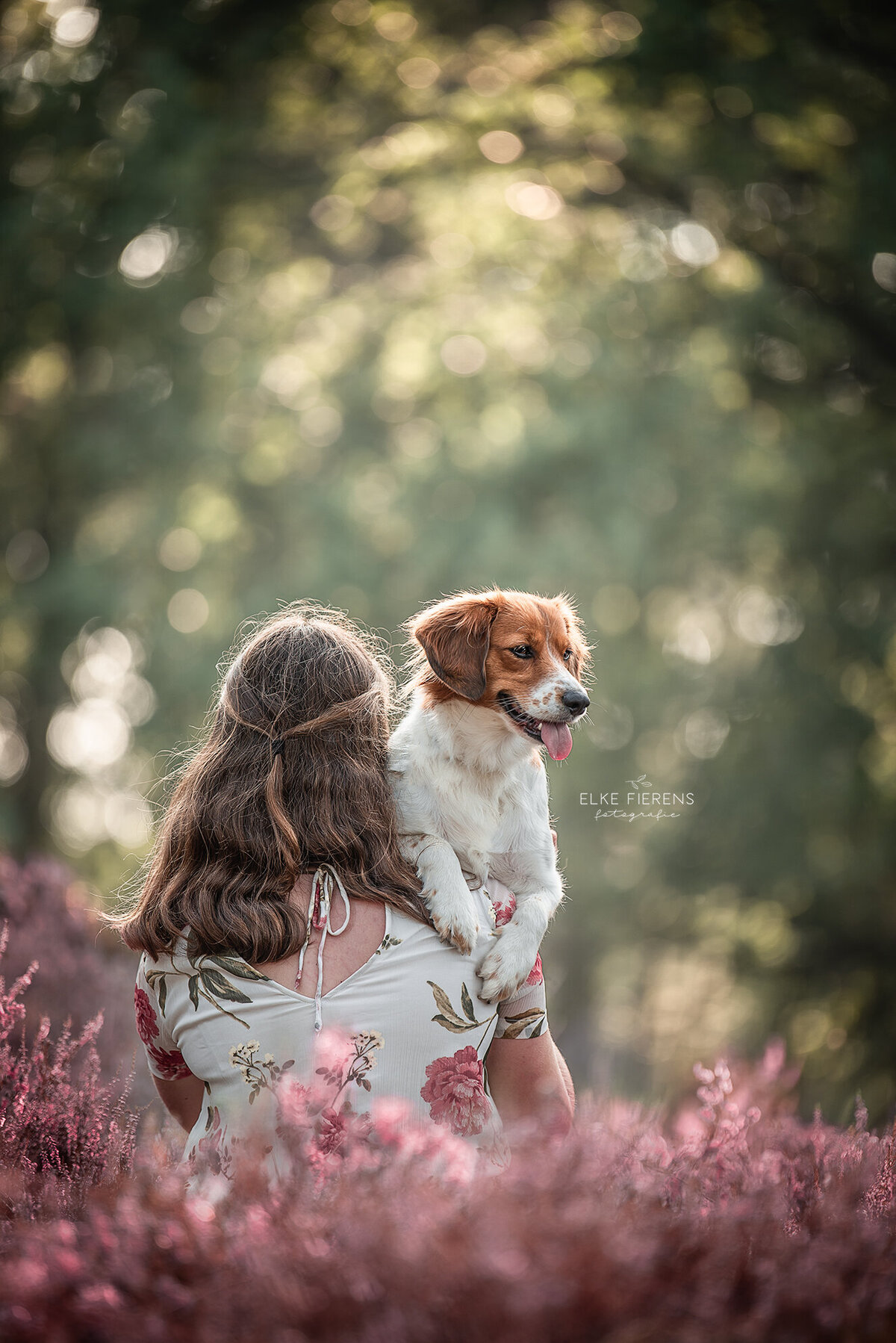 hondenfotograaf - knuffelfoto - hond en baasje - heide