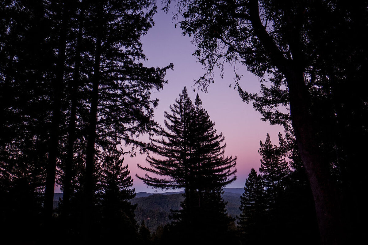 Sequoia-Retreat-Center-Romantic-Woodland-Wedding-39.2