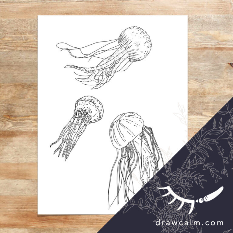coloring-pages-of-jellyfish