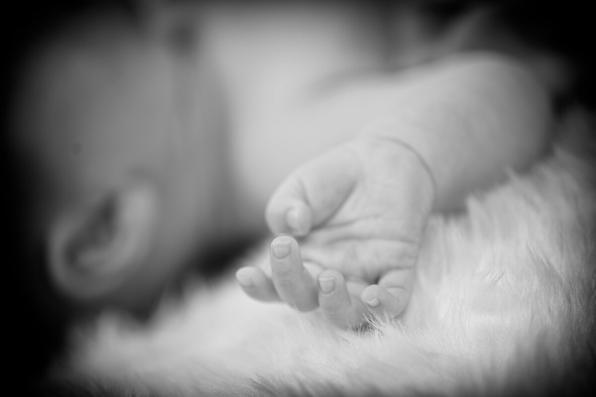 2014-03-31 um 09-12-58 (1)