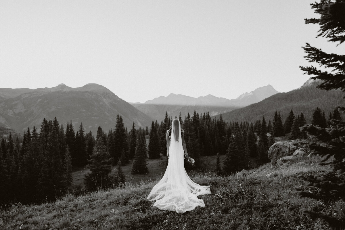 Bride standing alone facing the mountains in her wedding dress
