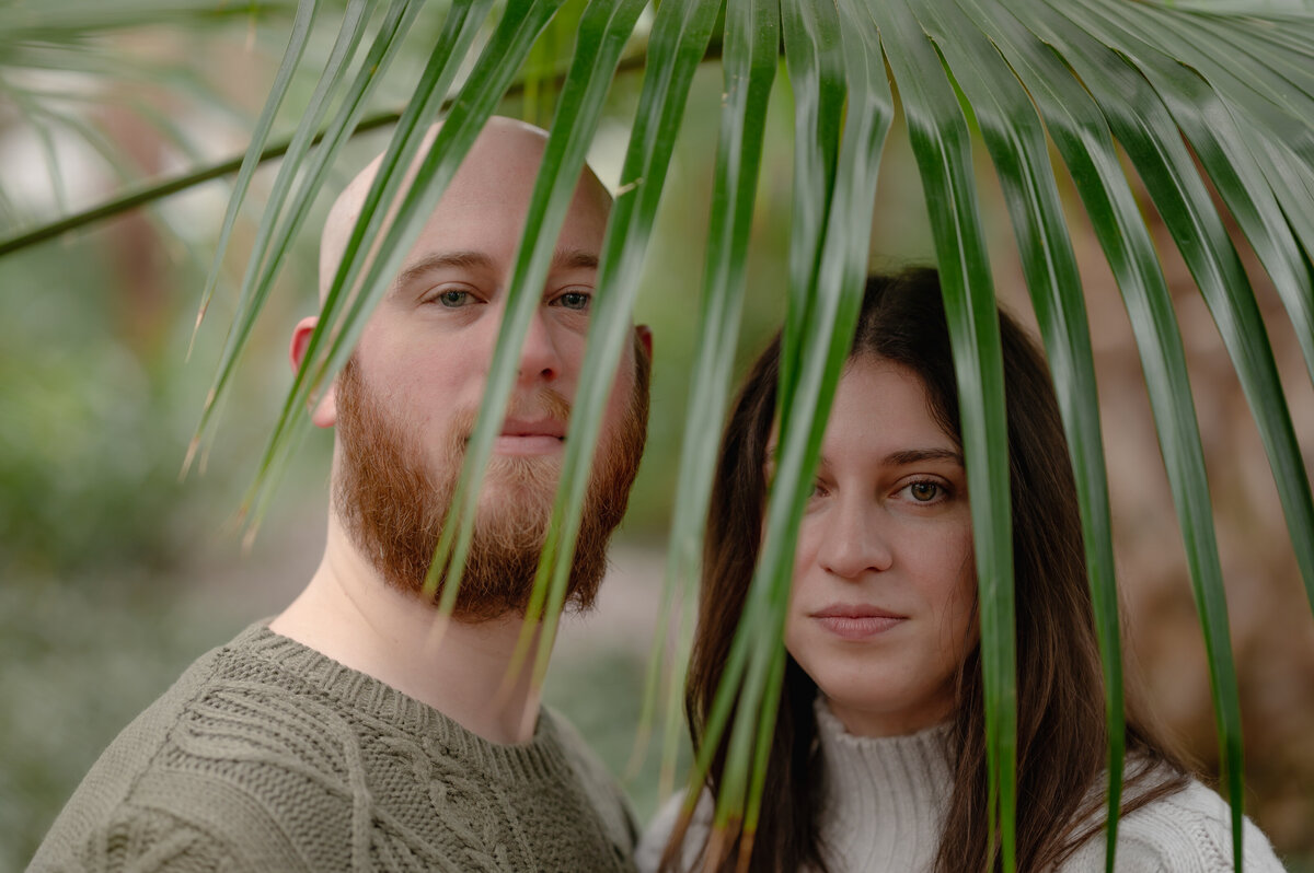A couple stands behind a large green leaf