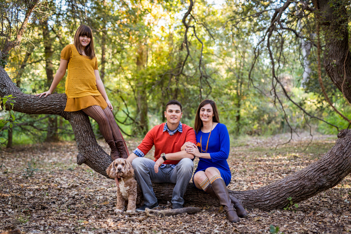 family portrait sitting under tree by San Antonio Photographer Expose The Heart photography