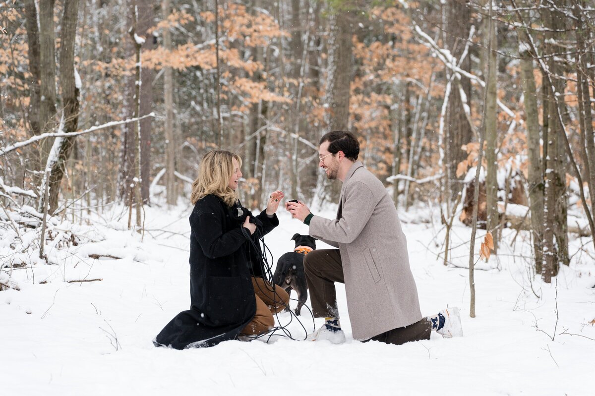 Winter proposal in nature 5