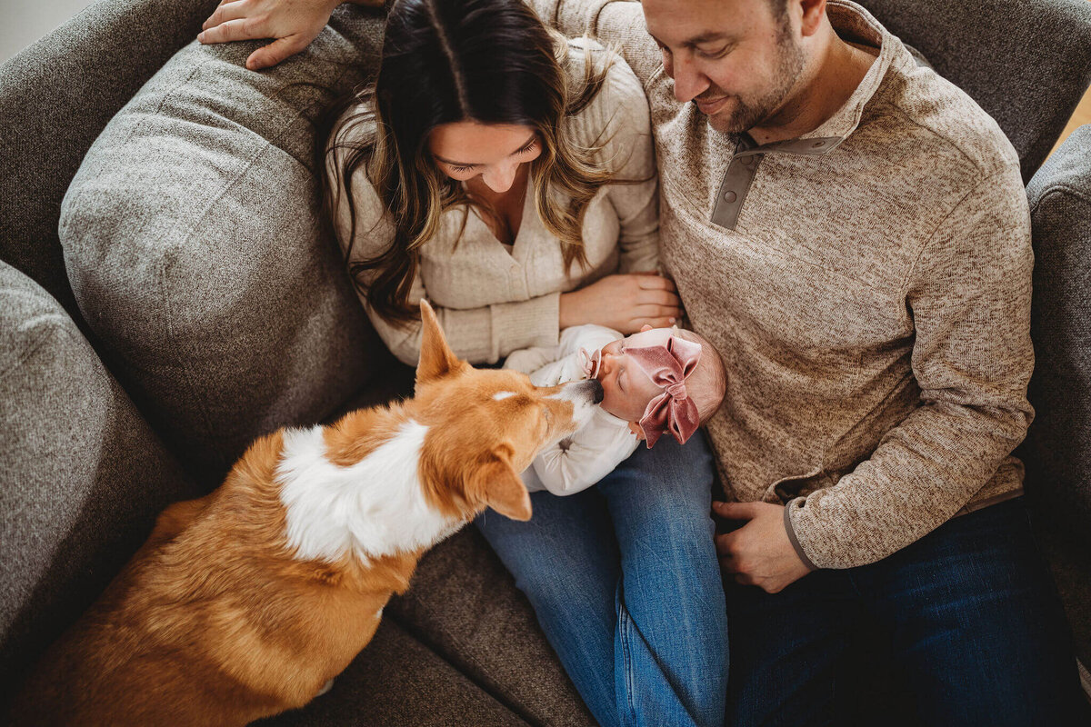Harrisonburg-Newborn-Photographer-2-336