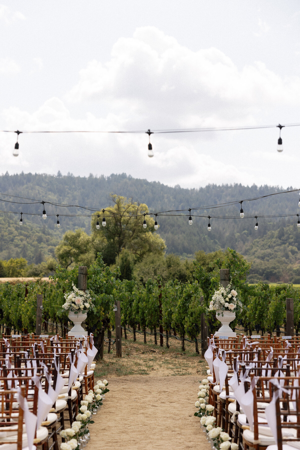 Napa-Wedding-Photographer-4