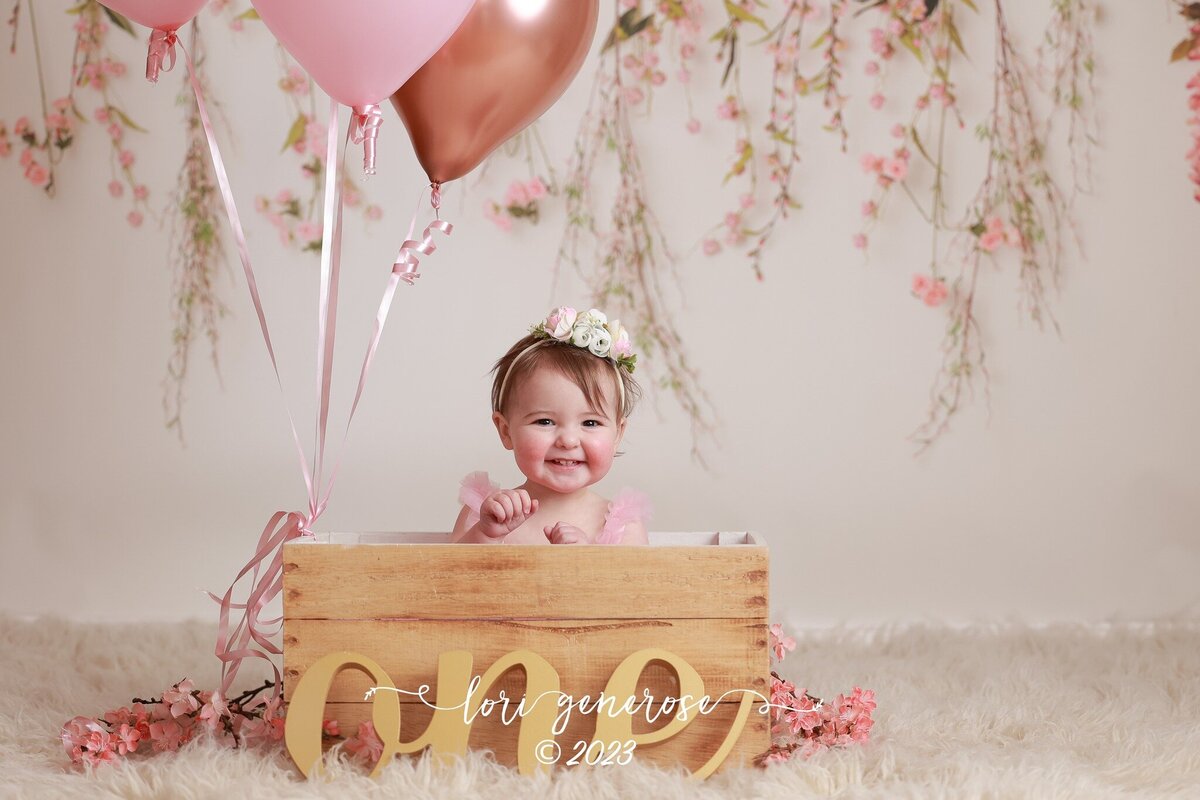 lehigh-valley-photographer-lori-generose-lg-photography-first-birthday-girl-bethlehem-pa