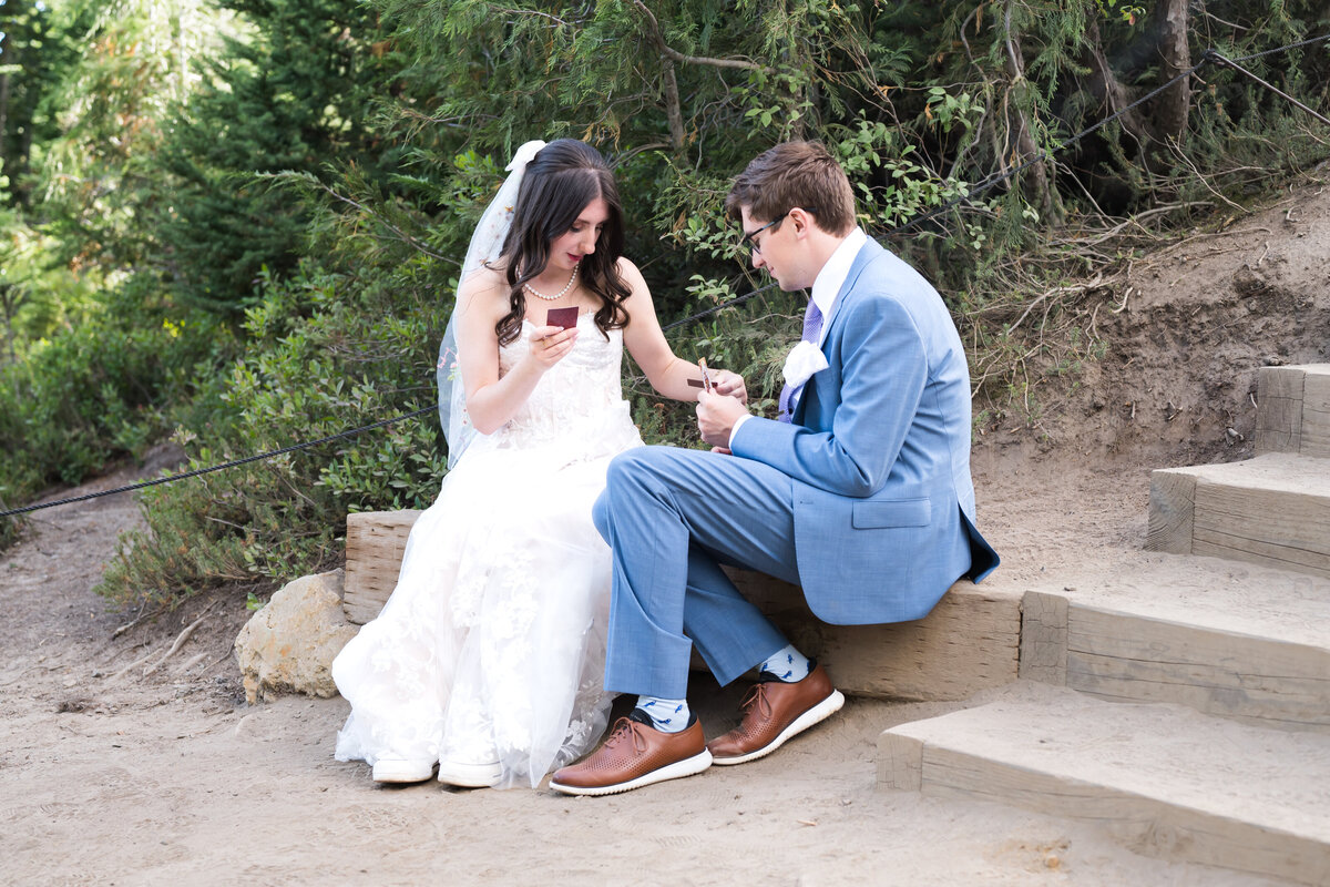 Mt Rainier National Park Elopement Photographer
