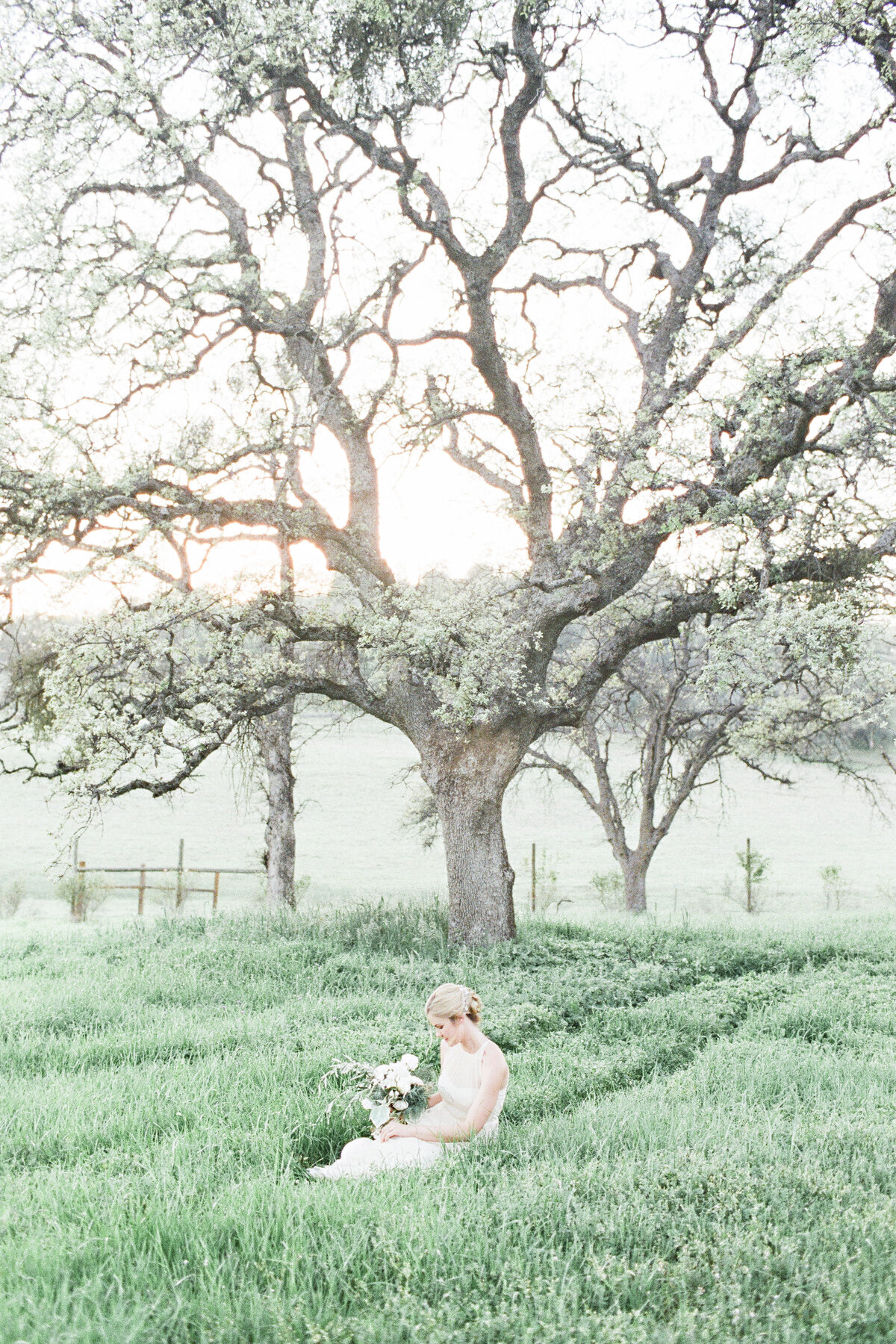 Bride sitting in grass under oak tree while looking at wedding bouquet