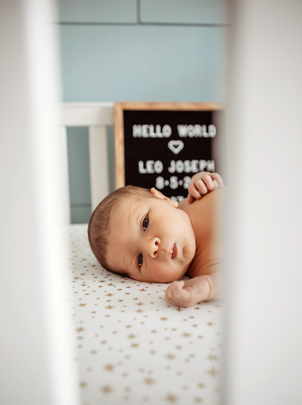 Laurel-Harrish-Photography-Newborn-036