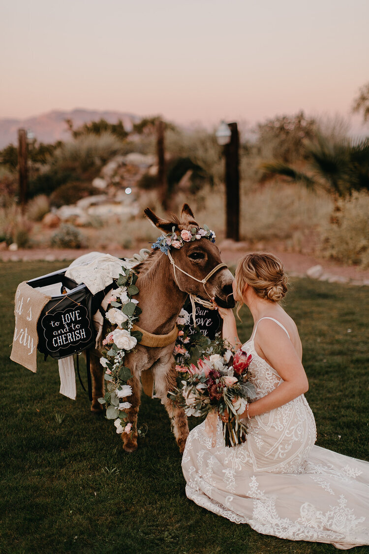 Liz+Osban+Photography+Wyoming+Wedding+Photographer+Colorado+Elopement+Iceland+Tucson+Arizona+Stardance+Event+Center+Phoenix+Wedding+Burros+Donkeys+Elope+Desrt+Rocky+Mountain+Bride+4