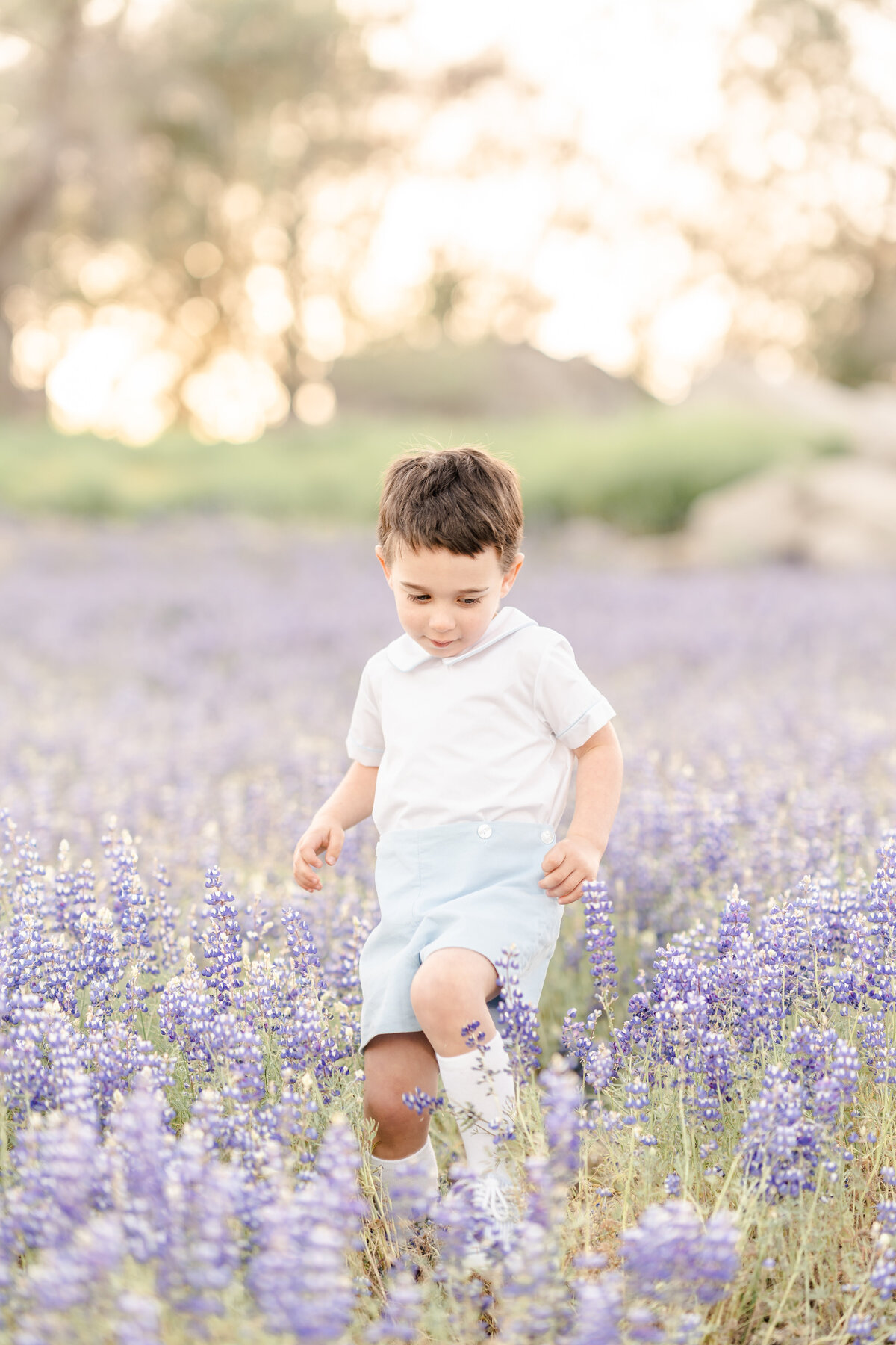 A young boy dressed in shades of white and light blue walks in a field of purple lupines photographed by bay area photographer, Light Livin Photography.