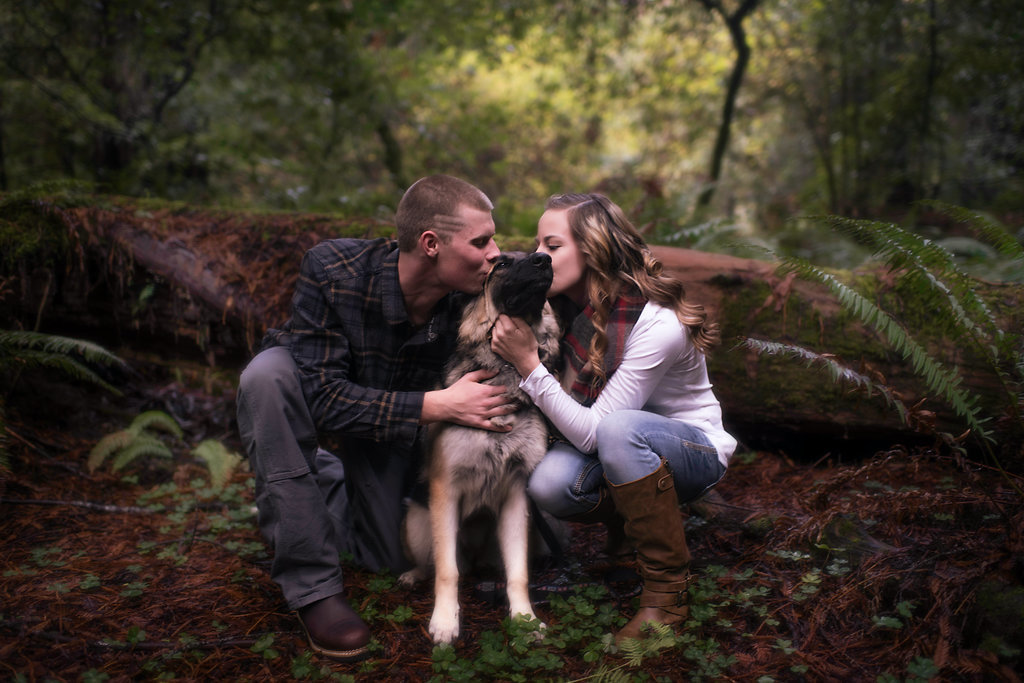 Redway-California-engagement-photographer-Parky's-Pics-Photography-Humboldt-County-redwoods-Avenue-of-the-Giants-engagement-7.jpg