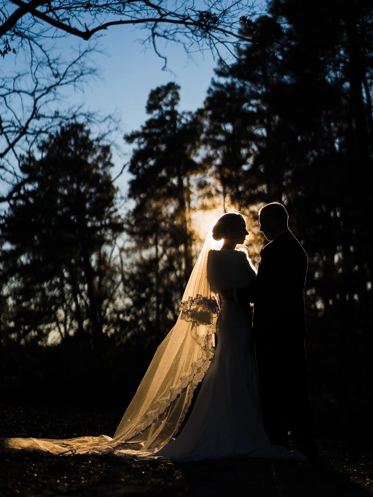 Silhouette of a bride and groom backlit by the setting sun, standing in a forested area with a glowing veil