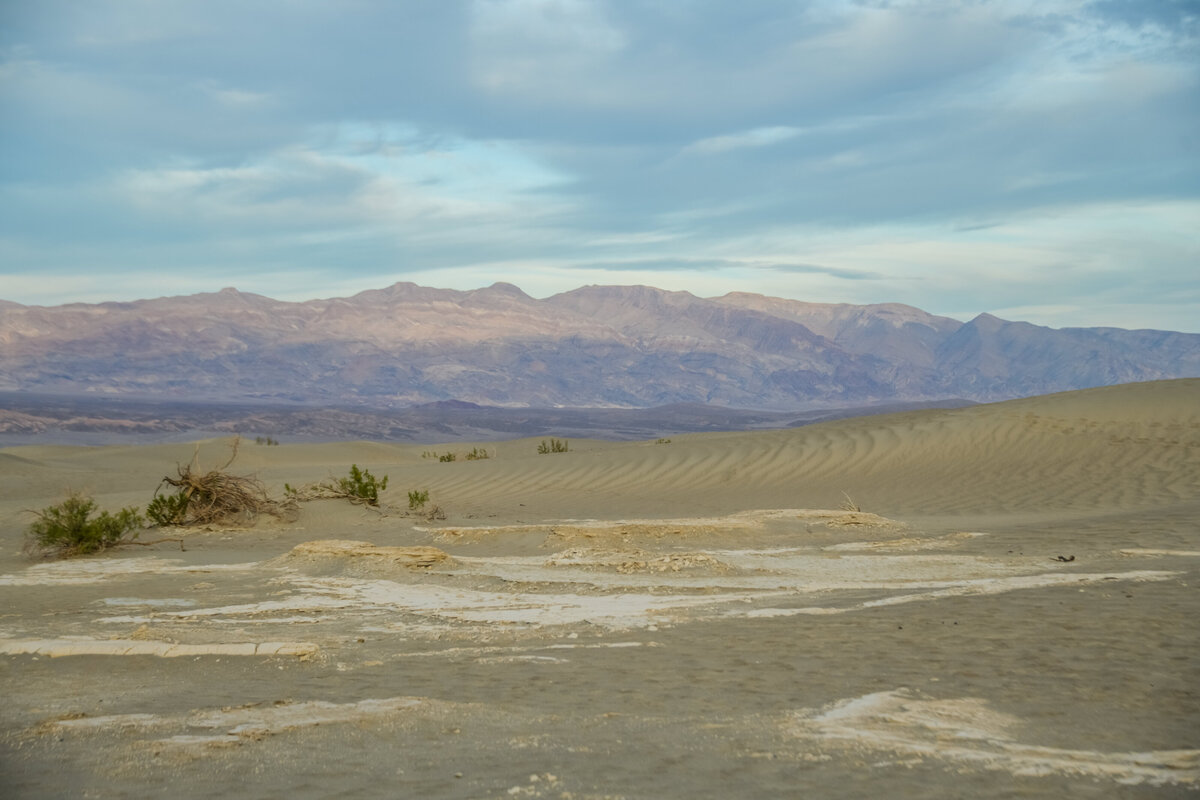 Desert Wedding