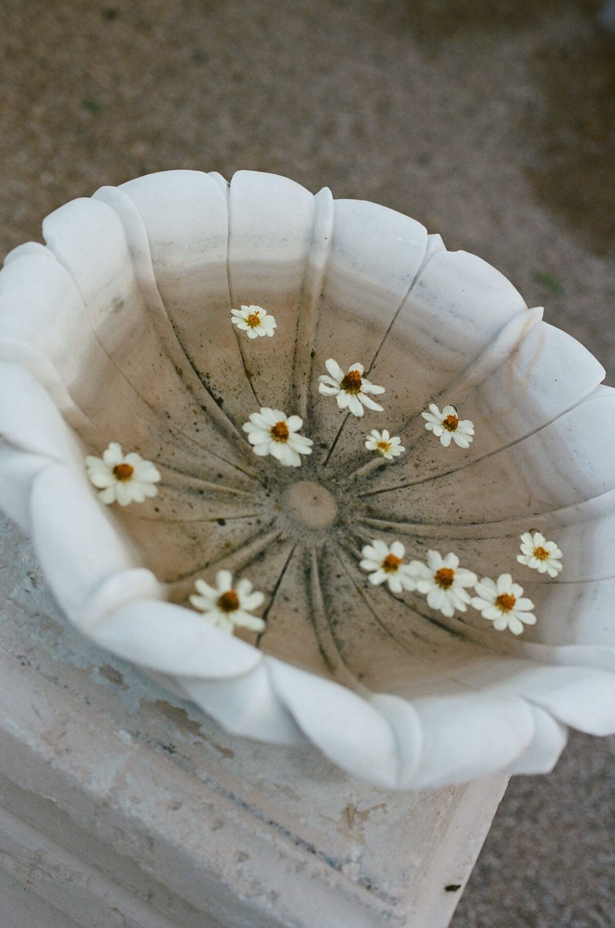 French-Garden-Birdbath-Hacienda