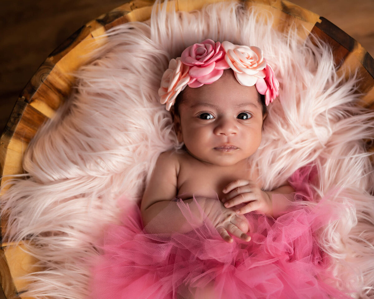 A newborn baby girl in layers of pink tulle stares at the camera during her newborn portrait session with an Asheville Newborn Photographer