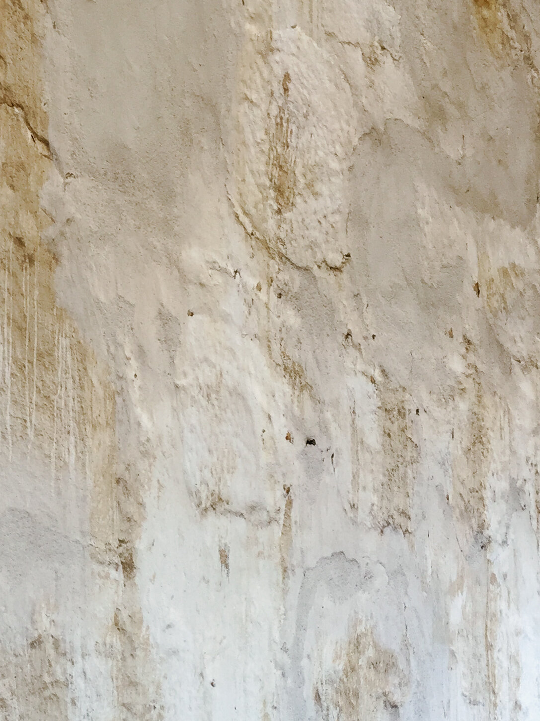 Plaster wall texture with neutrals and golds