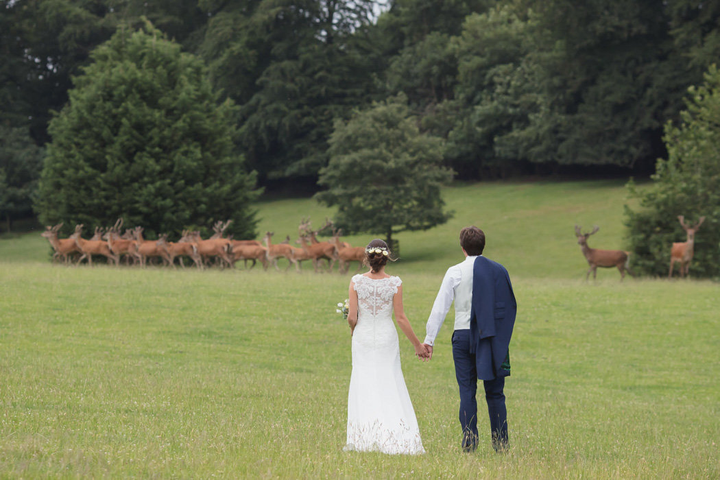 Couple in the Deer Park at Bridwell Estate Wedding