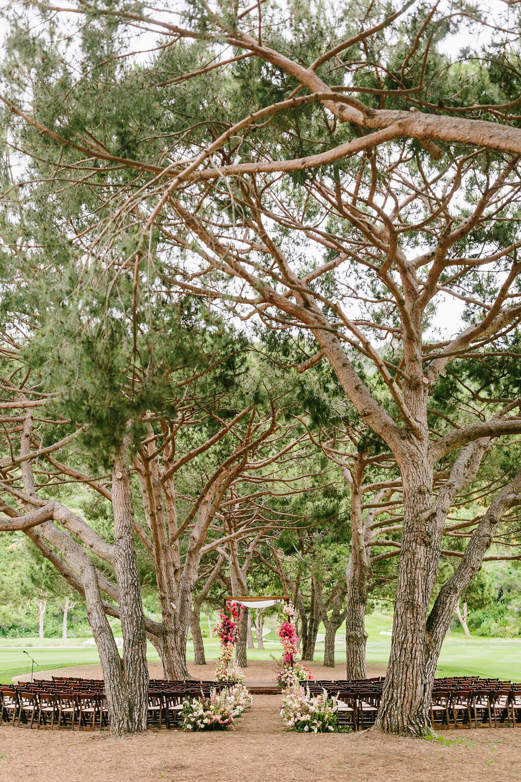 Morgan&Justin-JodeeDebesPhotography-Sneaks-110